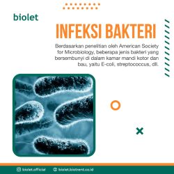 Dampak Buruk Toilet Bau dan Tidak Bersih